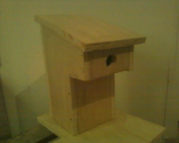 fabrication d'un nichoir pour mesange